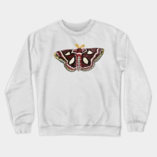 Watercolor Cecropia (silk) Moth Crewneck Sweatshirt
